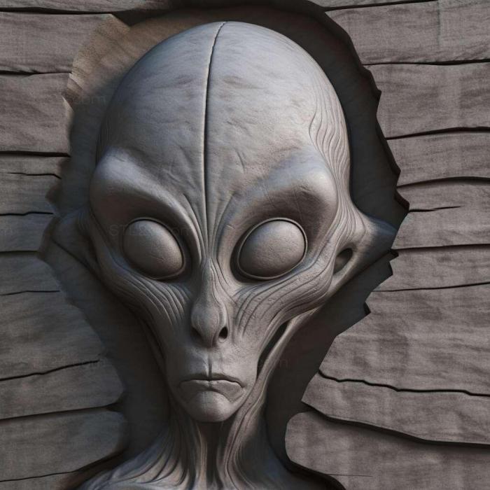Characters (grey alien 2, HERO_3266) 3D models for cnc
